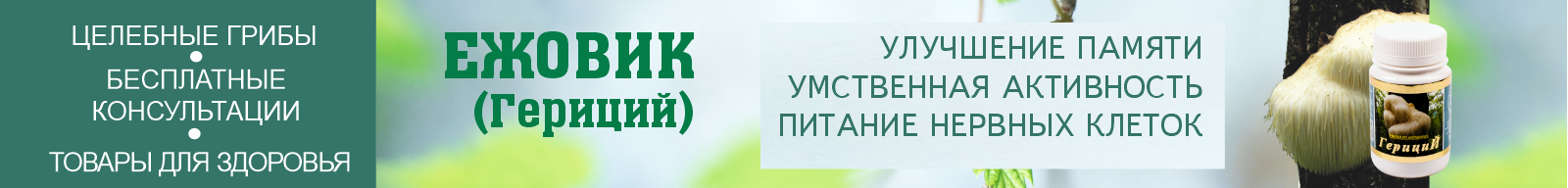 Гериций для памяти