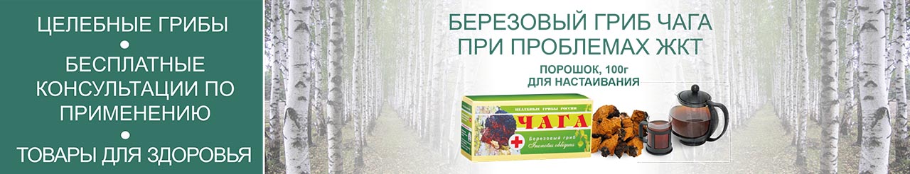 Чага порошок