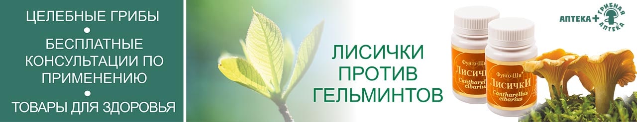 Препараты из лисичек