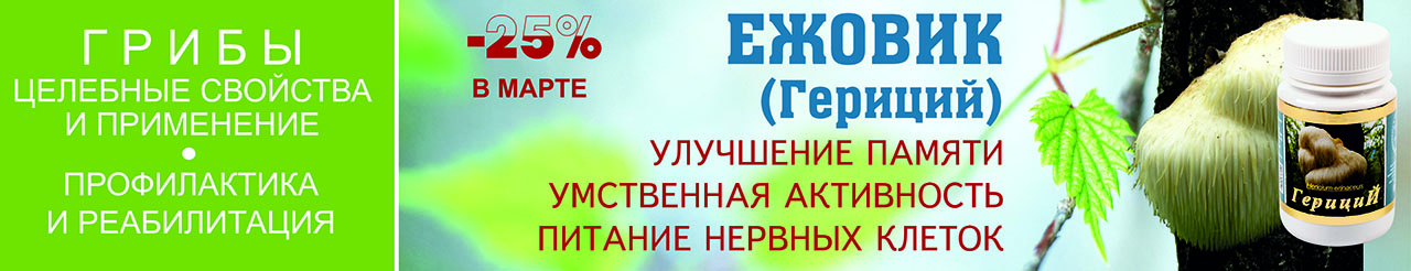 Целебные свойства грибов