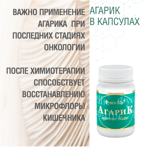 АГАРИК БРАЗИЛЬСКИЙ, 60 КАПСУЛ