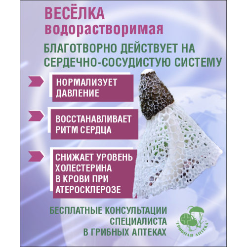 "ВЕСЕЛКА" ВОДОРАСТВОРИМАЯ, 30 САШЕ ПО 1 ГР