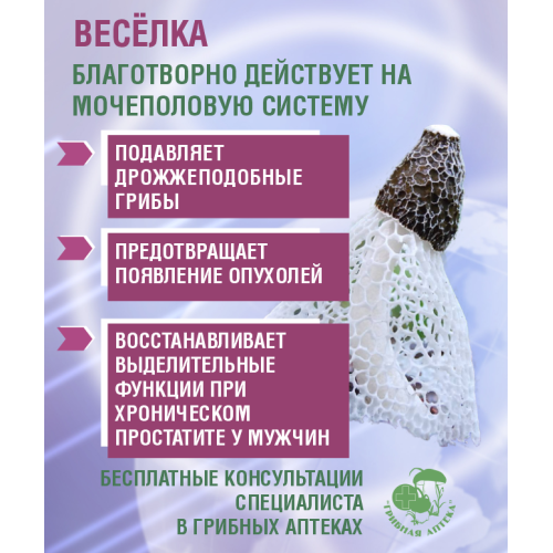 "ВЕСЕЛКА" ВОДОРАСТВОРИМАЯ, 30 САШЕ ПО 1 ГР