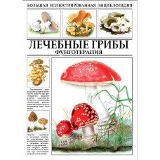 Большая иллюстрированная энциклопедия И.А.Филипповой Лечебные грибы. Фунготерапия