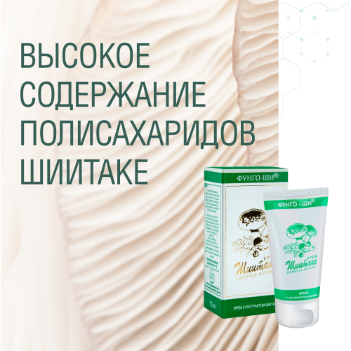 КРЕМ ШИИТАКЕ 2 ШТ