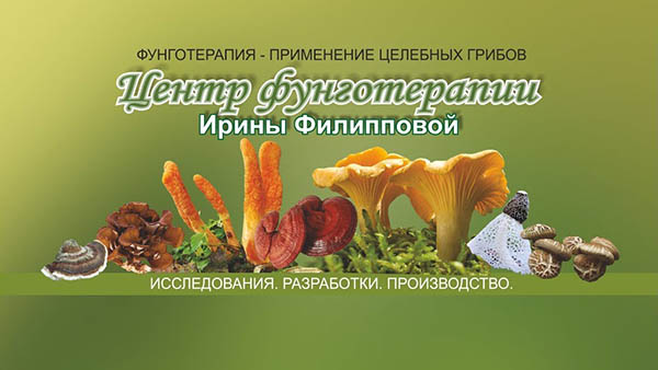 Грибные препараты для повышения иммунитета