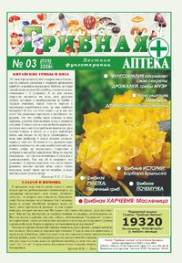 Газета Вестник фунготерапии. Выпуск №03, 2008